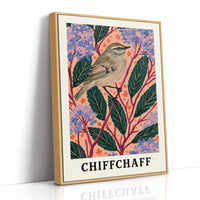 Chiffchaff Among Hydrangeas