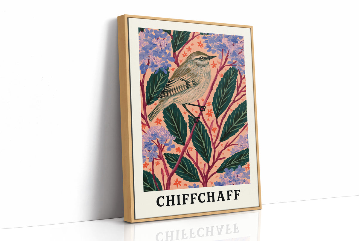 Chiffchaff Among Hydrangeas