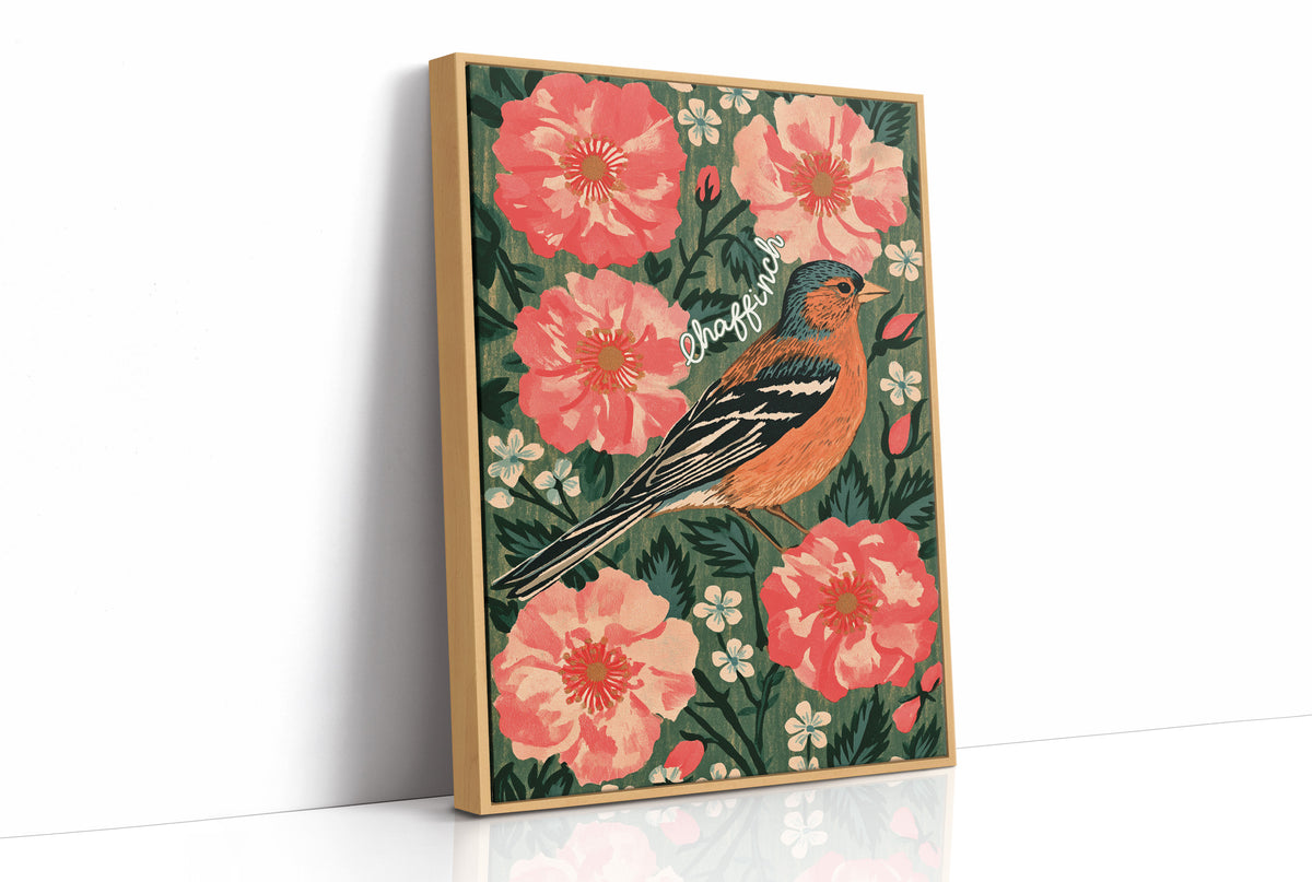 Chaffinch in Full Bloom