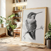 The Stillness of Feathered Grace