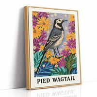 Pied Wagtail in Wildflower Garden