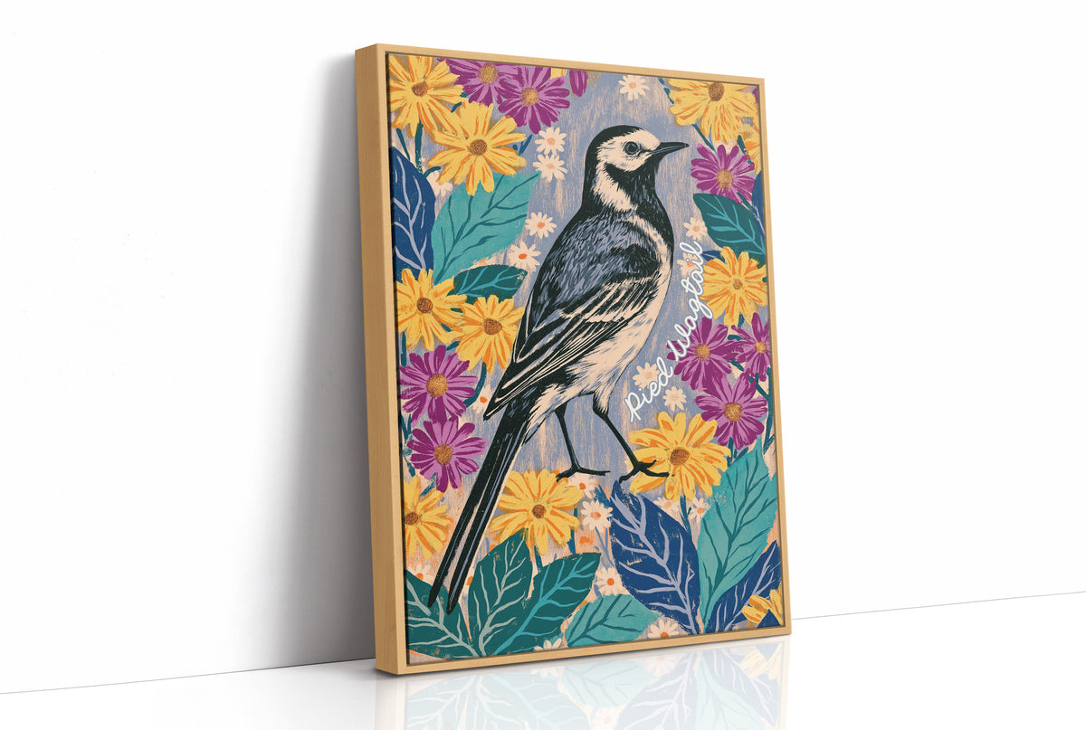 Pied Wagtail in Marigold Bloom