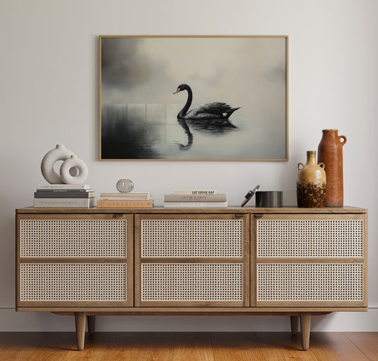 Black Swan Glides Through Morning Fog