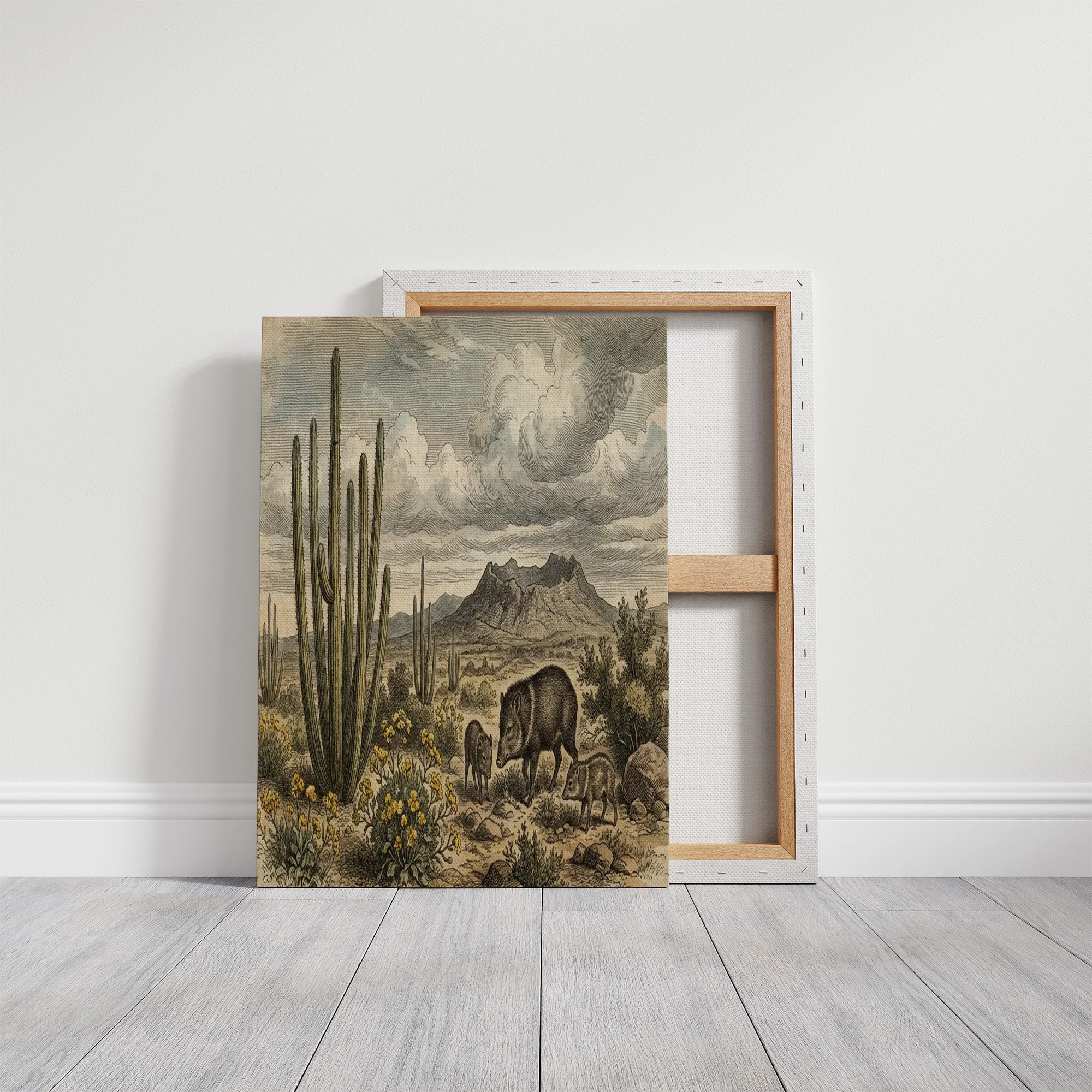 Desert Javelina Family