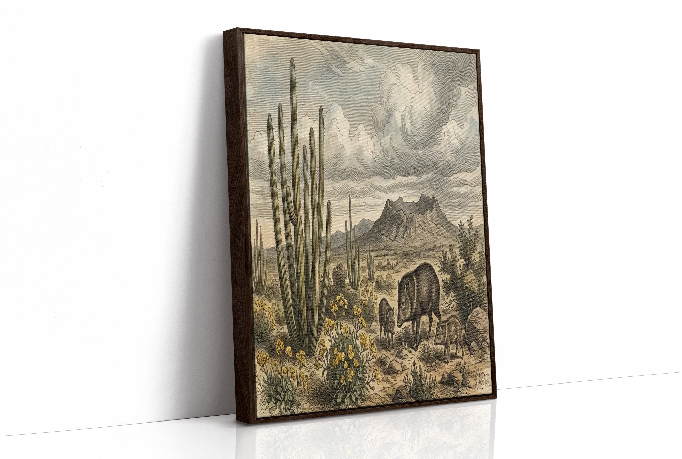 Desert Javelina Family