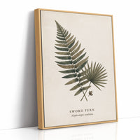 Vintage Herbarium