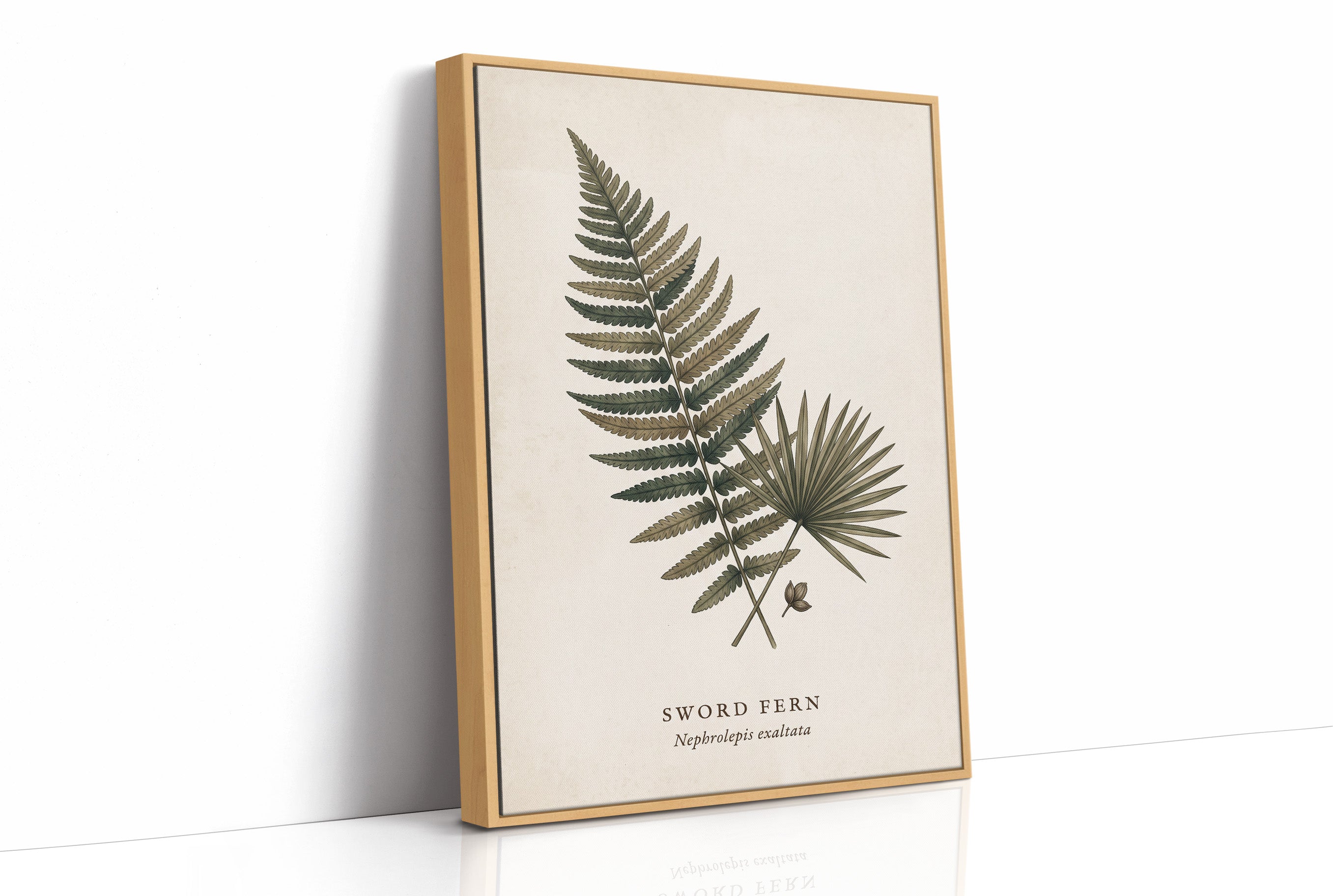 Vintage Herbarium