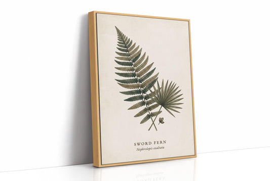 Vintage Herbarium