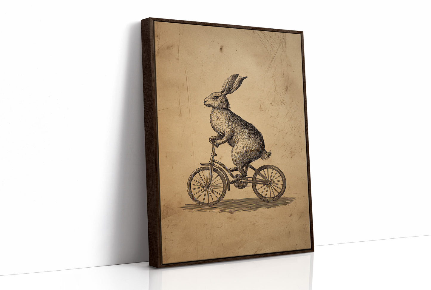 The Cycling Hare's Curious Journey