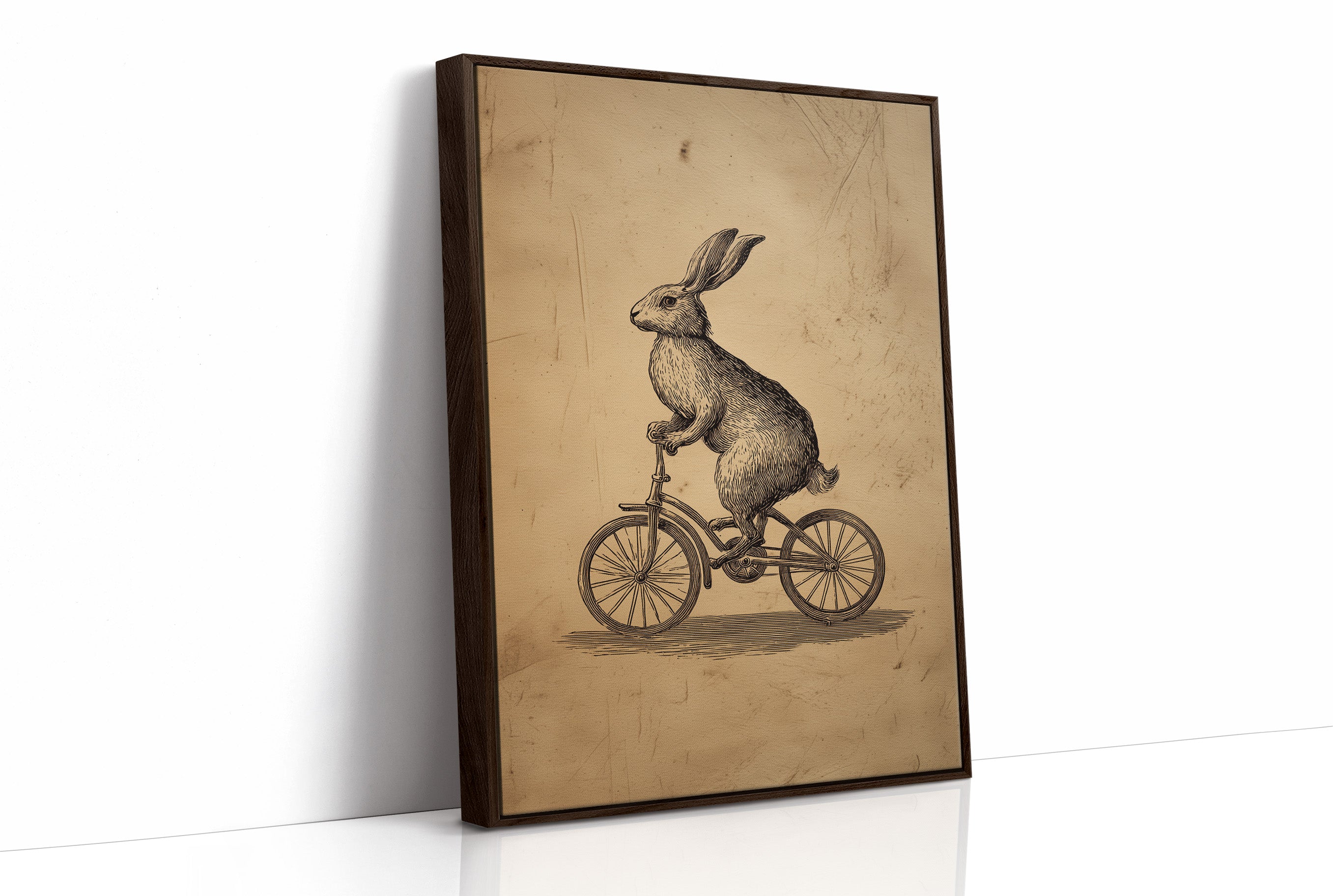 The Cycling Hare's Curious Journey