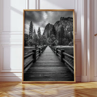 Journey Through Timbered Paths