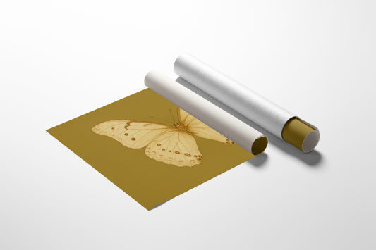 Golden Ivory Butterfly Study