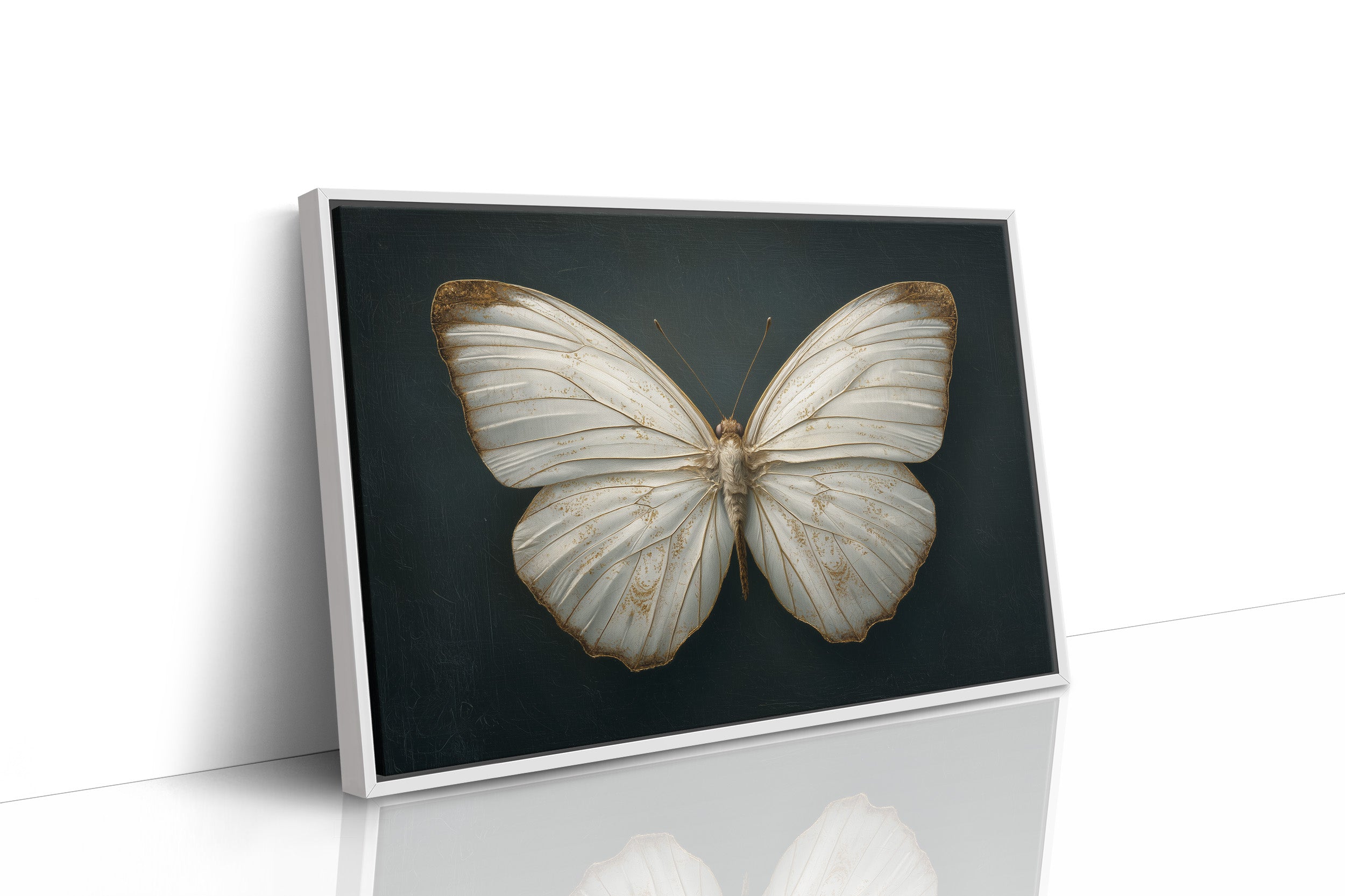 Ivory Wings Against Midnight Blue