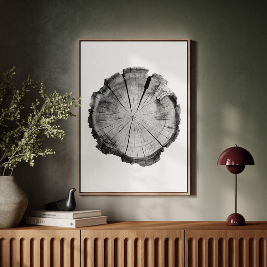 Textured Tree Ring Study