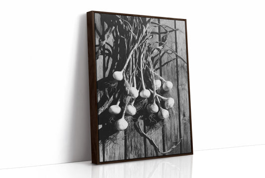 Garlic Hanging In Shadow