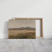 Solitary Shepherd in Amber Grasslands