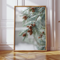 Frosted Pines Hold Their Secrets