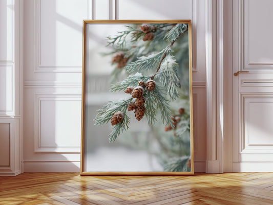 Frosted Pines Hold Their Secrets