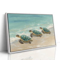 Sea Turtles Drift Through Turquoise