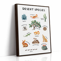 Arid Land Chronicles Illustrated