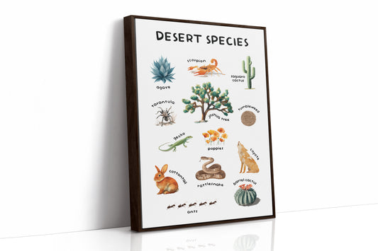 Arid Land Chronicles Illustrated