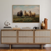 Three Sheep Stand Watch At Dawn