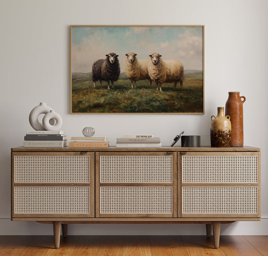 Three Sheep Stand Watch At Dawn