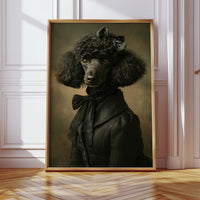 Elegance Wrapped in Curly Fur