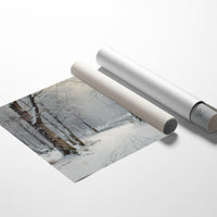 Silent Snow Traces River's Path