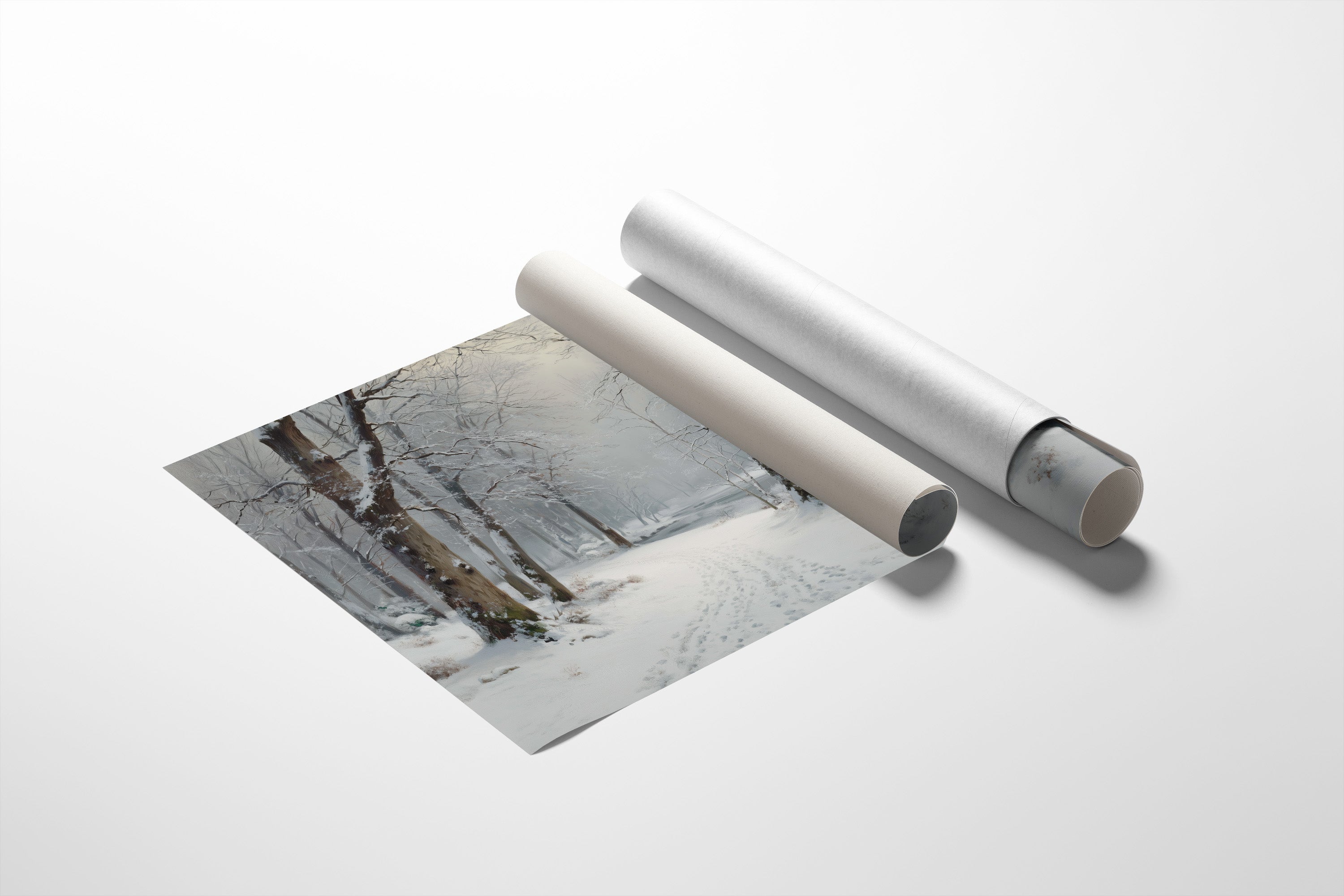 Silent Snow Traces River's Path