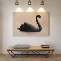 Black Swan Glides Through Blush Dawn