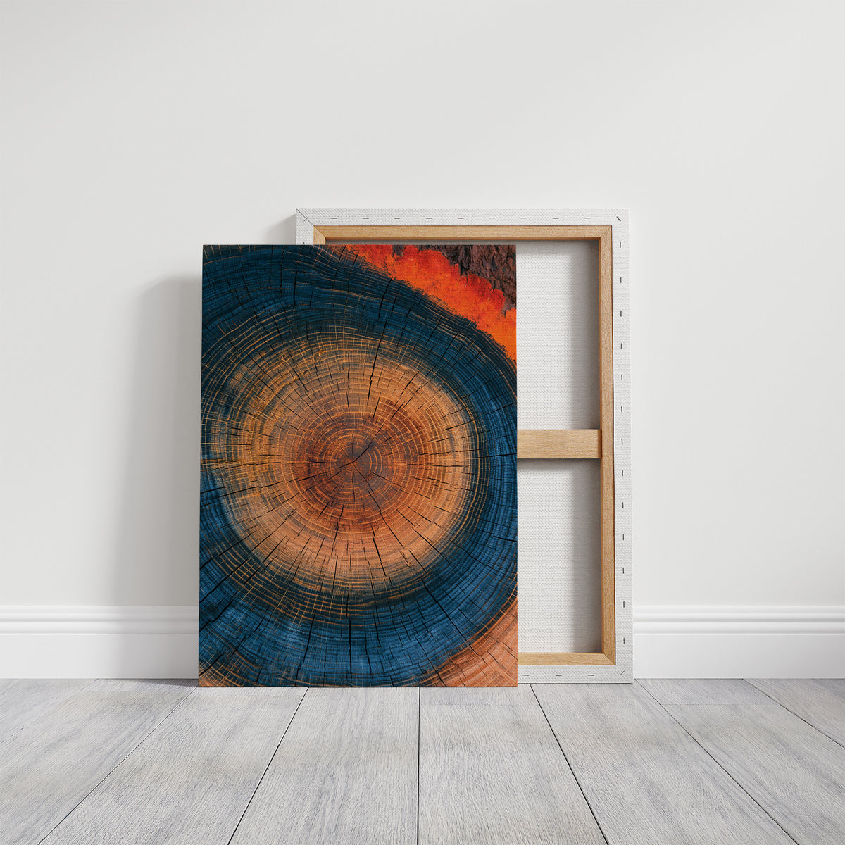 Cosmic Tree Ring Cross Section