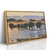 Herd, Crossing at Dusk