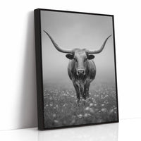 Longhorn's Steady Gaze Endures