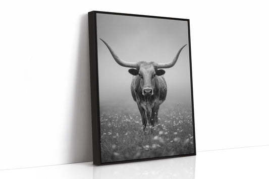 Longhorn's Steady Gaze Endures