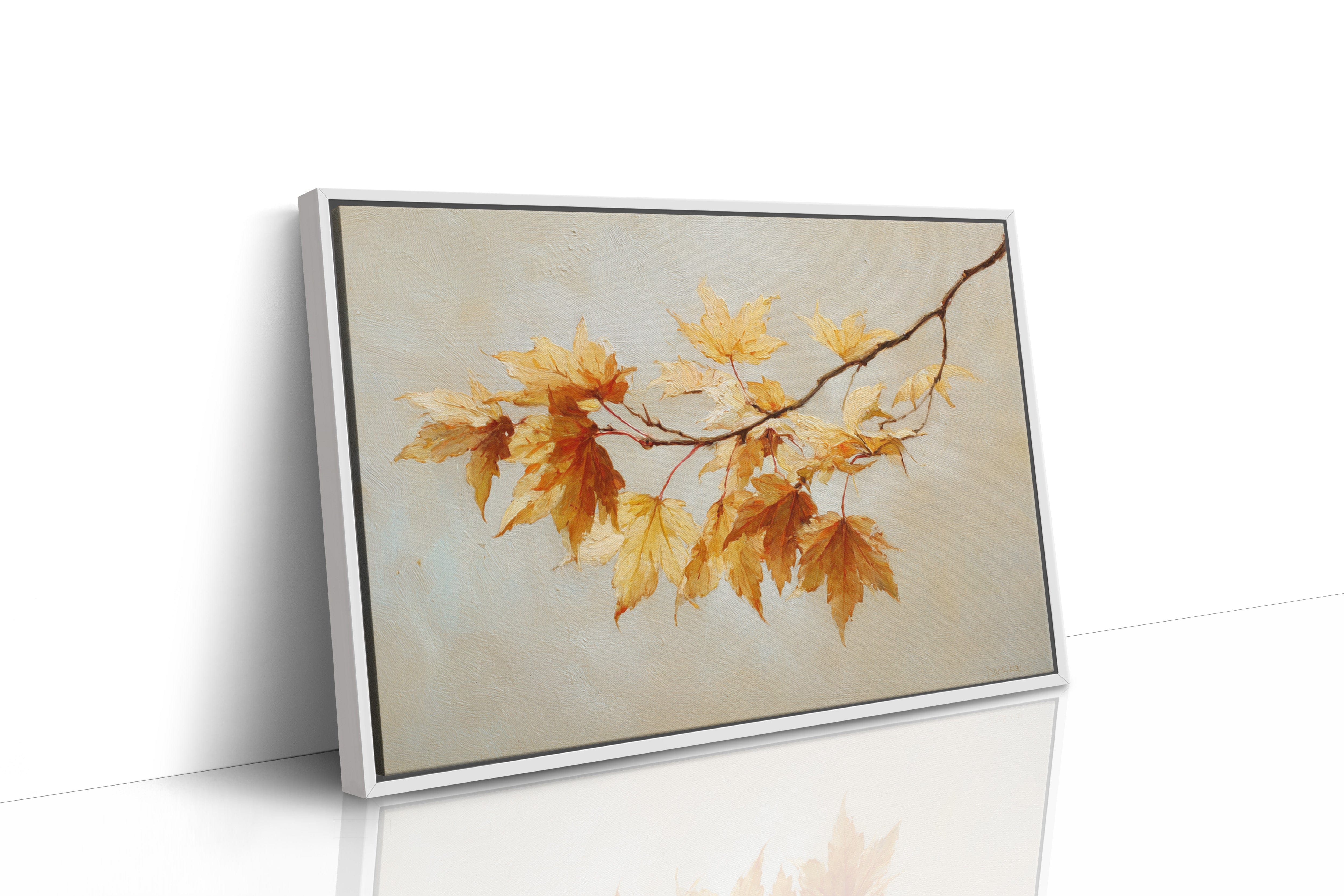 Maple Light Catches October's Glow