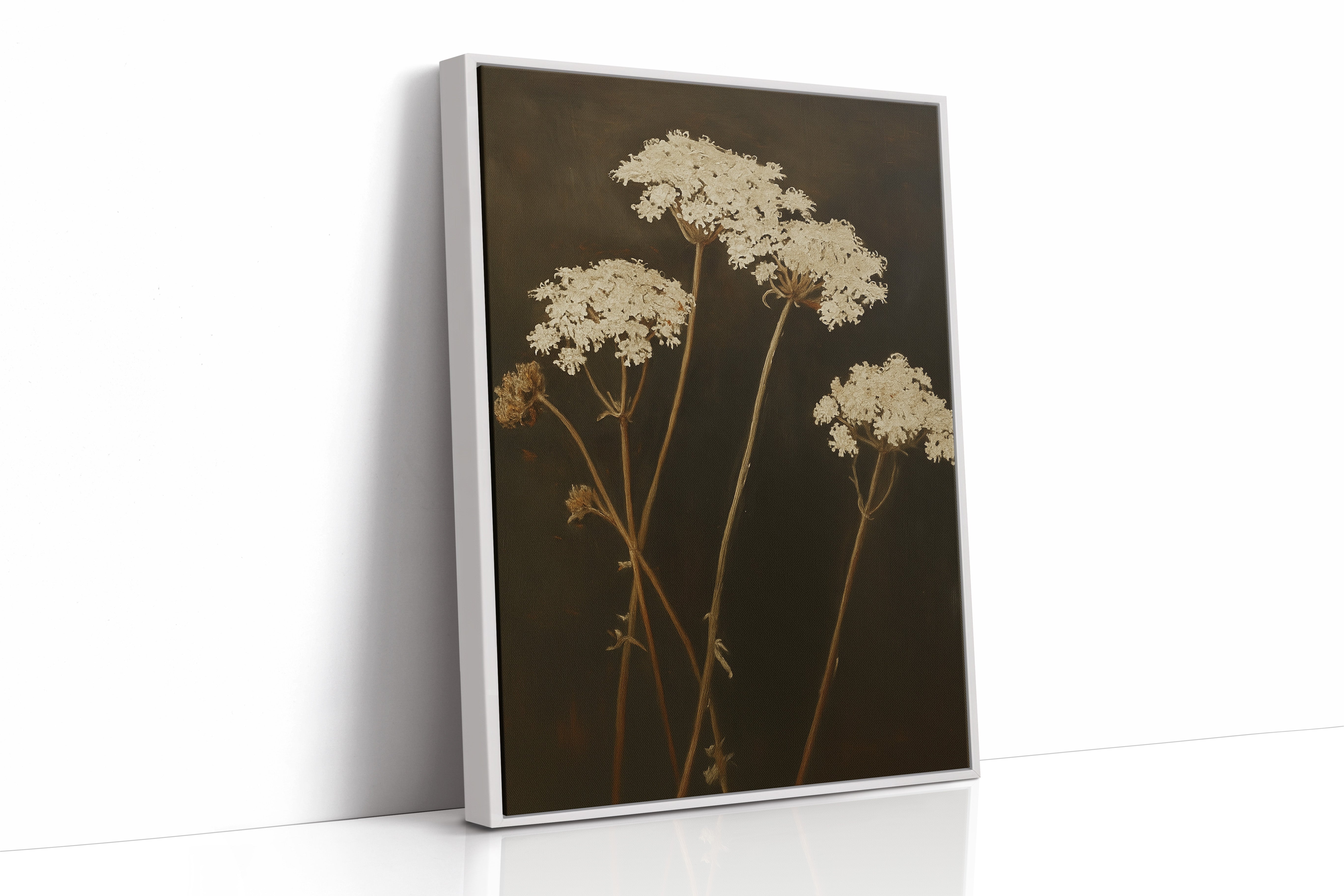 Queen Annes Lace in Late Autumn Light