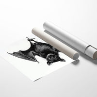 Nocturnal Scholar Hangs Between Pages