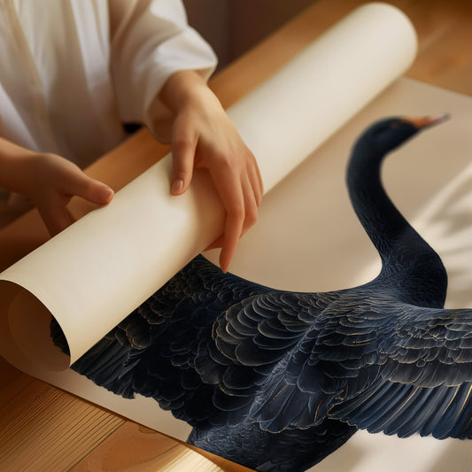 Black Swan Takes Evening Flight