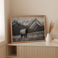 Crown of the Wilderness