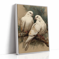 Two White Doves at Rest