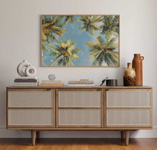 Summer Breeze Lifts Palm Stories