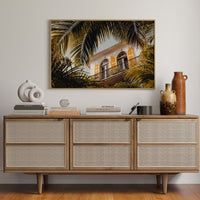 Golden Shutters Behind Palm Veils