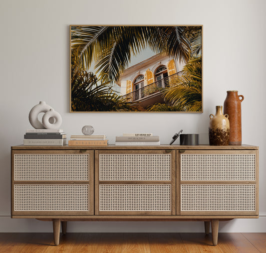 Golden Shutters Behind Palm Veils