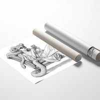 Modern Medusa's Digital Repose