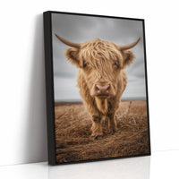 Highland Soul In Rustic Portrait