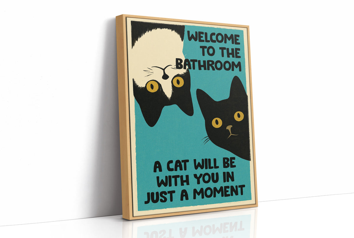 Two Cats, Zero Boundaries