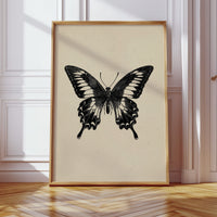 A Flutter Beneath Ancient Pages