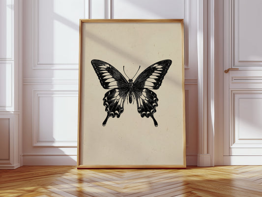 A Flutter Beneath Ancient Pages