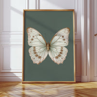 A Dance of Delicate Wings